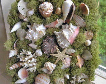 Mermaid's garden, basket of shells, shell garden moss centerpiece - soft green reindeer moss, seaside wedding, use on wall or table top
