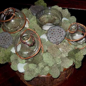 Topiary centerpiece, Zen garden w/ moss, lotus pods, tea lights, fresh flower bubble vases instant centerpiece for any occasion image 1