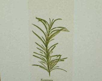Herbal stationery, 5 rosemary note cards, gift under 20, original print, ready to ship
