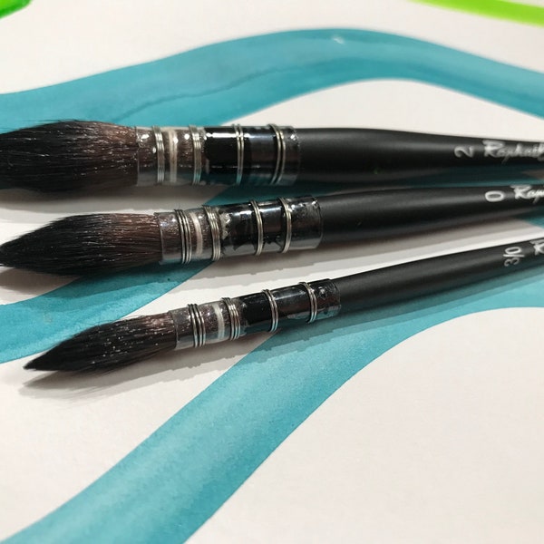 Squirrel Paint Brushes Etsy