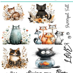 Może przedstawiać: Przezroczyste kalkomanie wodne z akwarelowymi ilustracjami kotów. Projekty obejmują koty z kompozycjami kwiatowymi i tekstem takim jak "Hello Lover", "Living my best life" i "Bloom with Grace". Arkusz kalkomanii ma wymiary 12,7 x 17,78 cm.
