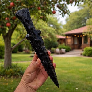 Puede incluir: Un objeto negro, texturizado, en forma de daga con una apariencia rugosa y orgánica. El objeto se sostiene frente a un fondo borroso de césped verde, árboles y una casa. La daga tiene una punta afilada y una estructura similar a un mango.