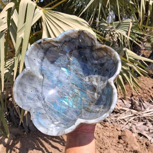 Puede incluir: Un cuenco en forma de flor tallado en piedra de labradorita. El cuenco presenta una mezcla de colores grises, azules e iridiscentes. El cuenco de piedra natural se sostiene en una mano, con un fondo de tierra marrón y follaje verde.