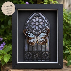 Könnte beinhalten: Ein gerahmtes Kunstwerk mit einem Schmetterling mit braunen und blauen Flügeln, vor einem schwarzen Fensterdesign im gotischen Stil. Das Kunstwerk ist in einem schwarzen Rahmen eingefasst, mit dem Text "B-WARE mit kleinen Macken" auf einem kreisförmigen Etikett.