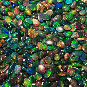May include: A close-up of numerous polished black opal gemstones. The opals exhibit a striking play-of-colour, with flashes of green, blue, red, and yellow. The stones are in various shapes and sizes, creating a visually rich and textured display. Suitable for jewellery making.