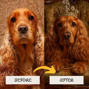 Puede incluir: Imagen comparativa de un Cocker Spaniel. La imagen del "antes" muestra al perro con un fondo liso. La imagen del "despu&eacute;s" muestra al perro con una corona y sentado en un trono. Los textos "ANTES" y "DESPU&Eacute;S" se muestran debajo.
