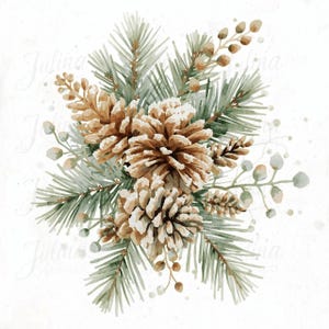 Könnte beinhalten: Aquarell-Illustration eines winterlichen Arrangements mit braunen Tannenzapfen, grünen Tannennadeln und kleinen, runden, hellgrünen Beeren. Das Arrangement ist vor einem weißen Hintergrund zentriert und schafft ein festliches, saisonales Design.