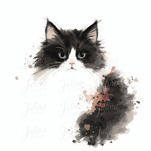 Puede incluir: Ilustración en acuarela de un gato esponjoso con pelaje blanco y negro. El gato tiene una nariz rosa y ojos grises. La obra de arte presenta un efecto de salpicadura con acentos marrones y grises, sobre un fondo blanco.