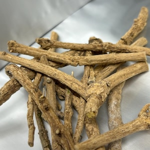 African Dreamroot (Silene capensis) – Organic Whole Root | Lucid Dream Enhancer | Traditional Herbal Supplement | 10g, 25g, 75g
