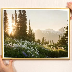 May include: A framed landscape print featuring a mountain scene with a field of white and purple wildflowers. The sun shines through the tall trees, illuminating the mountains in the background. The frame is gold.