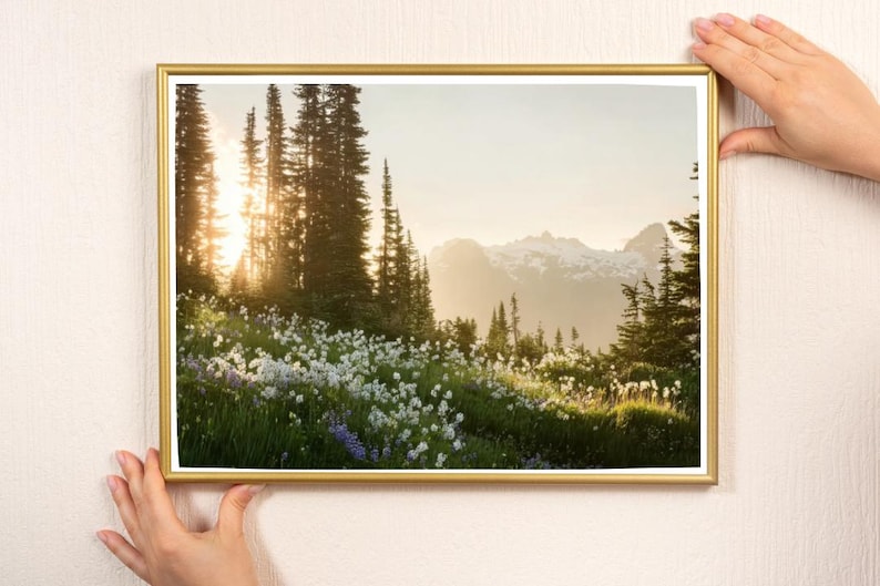 May include: A framed landscape print featuring a mountain scene with a field of white and purple wildflowers. The sun shines through the tall trees, illuminating the mountains in the background. The frame is gold.
