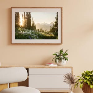 May include: A framed landscape photograph featuring a vibrant meadow of white wildflowers and green grass, with tall evergreen trees and snow-capped mountains in the background. The sun shines brightly through the trees, creating a warm, golden glow.