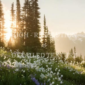 May include: A scenic landscape featuring a mountain range, evergreen trees, and a field of wildflowers. The sun shines through the trees, creating a warm, golden glow. The text "HIGH-RESOLUTION & DETAILED TEXTURE" is visible.