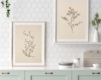 Vintage Botanical Line Art Prints – Rustic Farmhouse Decor (Digital Download)