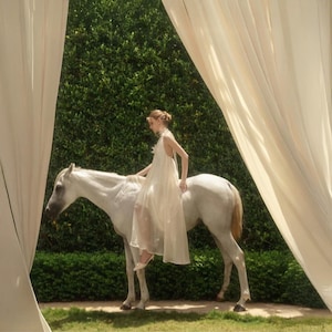 White Chiffon Maxi Dress: Halter Fairycore Gown, Wedding Guest, Photoshoot