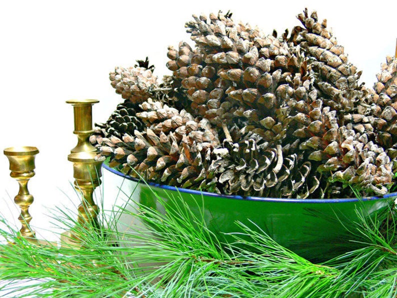 May include: A green enamel bowl filled with pine cones, surrounded by pine branches and brass candle holders.