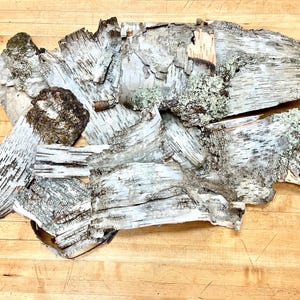Birch Bark Lot, 15 Pieces from 17” X 9” to 9” X 8”, Wild Foraged in NH for Decor, Crafts, and Centerpieces