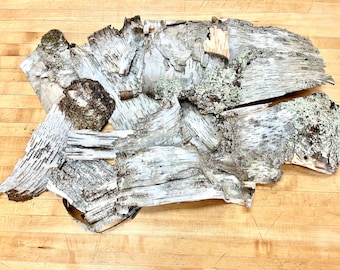Birch Bark Pieces: 12 Assorted  Flat and Curved, Foraged NH Decor, Crafts, Centerpieces