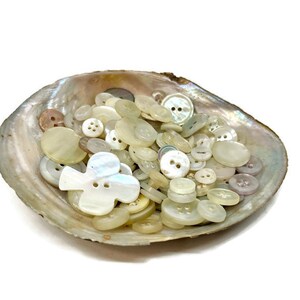 150 Mermaid Scale Buttons in an Oyster Shell, Iridescent Mother of Pearl Button Lot, Vintage Supplies, Instant White Button Collection image 5