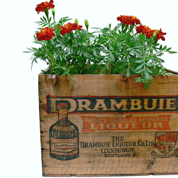 Vintage Wooden Crate - Drambuie Liquor Box - Industrial Decor