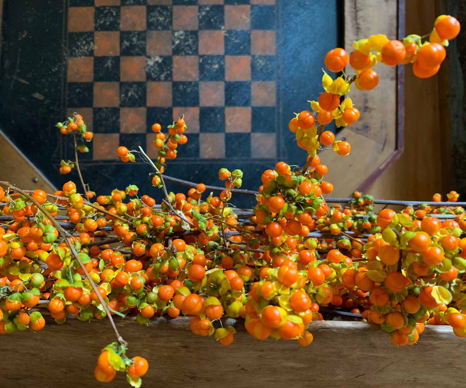 Bittersweet Vines Wild Harvested in NH for Wreaths Baskets Etsy