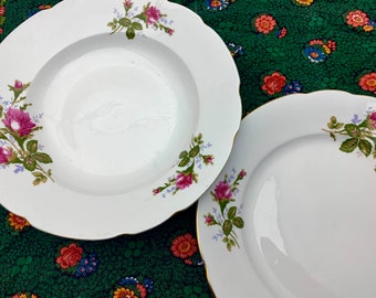 Polish Porcelain Bowl & Plate with Roses, Vintage Cmielow Cereal or Soup Bowl and Luncheon Plate, Fine China Dinnerware Made in Poland