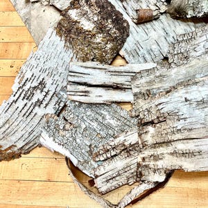 Puede incluir: Una colecci&oacute;n de trozos de corteza de abedul, que muestran la textura natural y los patrones de la corteza. La corteza es de color marr&oacute;n claro y blanco con una superficie rugosa y texturizada.