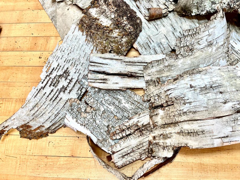 Puede incluir: Una colecci&oacute;n de trozos de corteza de abedul, que muestran la textura natural y los patrones de la corteza. La corteza es de color marr&oacute;n claro y blanco con una superficie rugosa y texturizada.