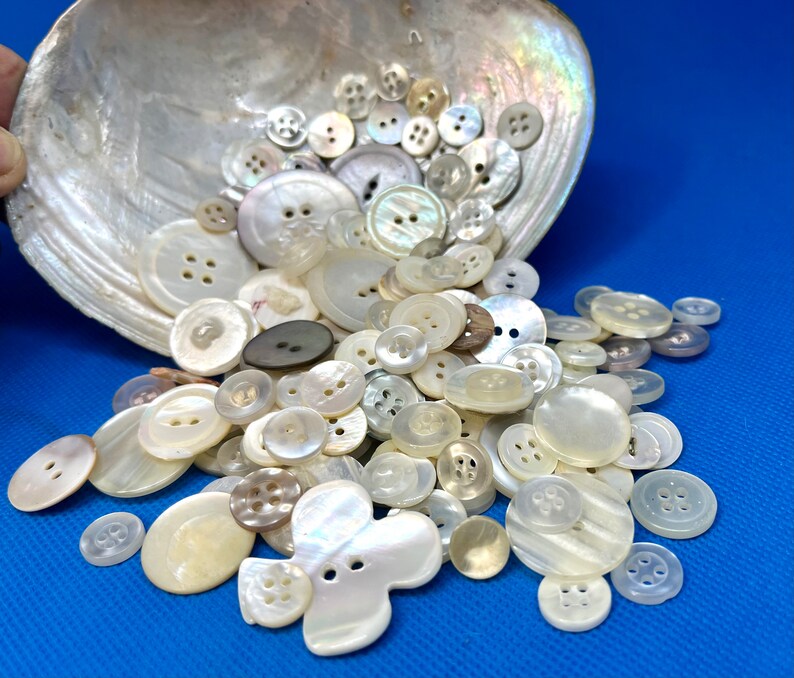 150 Mermaid Scale Buttons in an Oyster Shell, Iridescent Mother of Pearl Button Lot, Vintage Supplies, Instant White Button Collection image 1