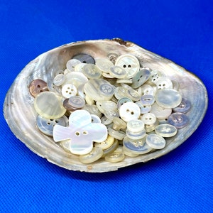 150 Mermaid Scale Buttons in an Oyster Shell, Iridescent Mother of Pearl Button Lot, Vintage Supplies, Instant White Button Collection image 2