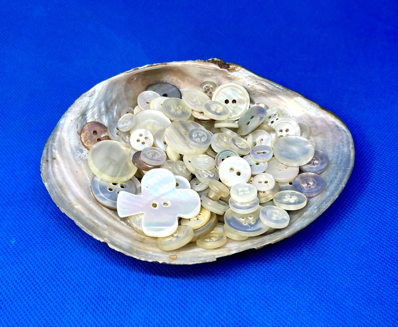 150 Mermaid Scale Buttons in an Oyster Shell, Iridescent Mother of Pearl Button Lot, Vintage Supplies, Instant White Button Collection image 2