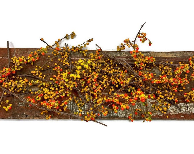 Bittersweet Vines Wild Harvested in NH for Wreaths Baskets Etsy