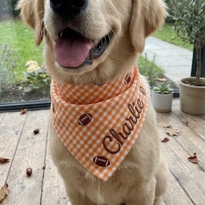 May include: A golden retriever puppy wearing an orange and white gingham patterned bandana. The bandana features a repeating brown football print and the name Charlie embroidered in brown script lettering across the fabric surface.
