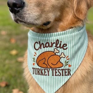 May include: A light green and white pinstriped pet bandana featuring an embroidered brown roasted turkey graphic, the name Charlie in brown script, and the text TURKEY TESTER in brown block letters centered on the fabric.