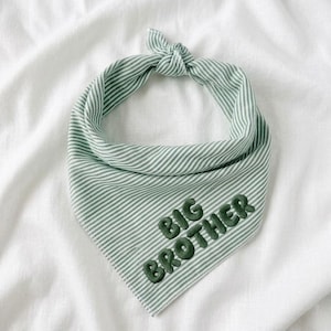 May include: A triangular pet bandana featuring a light green and white diagonal striped pattern. The fabric is tied at the top in a knot. The words BIG BROTHER are embroidered in dark green, rounded, puffy letters across the lower section.