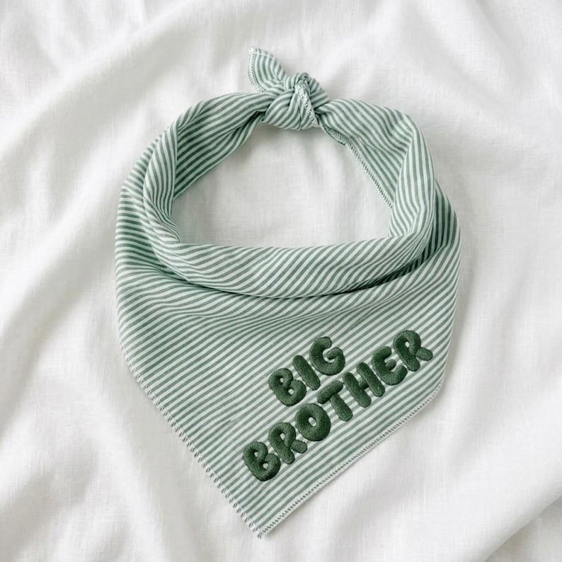May include: A triangular pet bandana featuring a light green and white diagonal striped pattern. The fabric is tied at the top in a knot. The words BIG BROTHER are embroidered in dark green, rounded, puffy letters across the lower section.