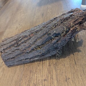 May include: A section of tree bark with a rough, textured surface. The bark is mainly dark brown with lighter brown and green patches. The log is lying on a wooden surface.