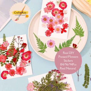 Pressed Dried Flowers Set: DIY Resin Art, Scrapbooking, Wedding Decor
