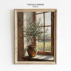 Pode incluir: Uma impressão artística emoldurada intitulada VINTAGE SERENE PRINTS apresentando uma pintura a óleo de uma oliveira em vaso num parapeito de janela. A árvore tem folhas verdes e pequenas azeitonas escuras num vaso de cerâmica castanho.