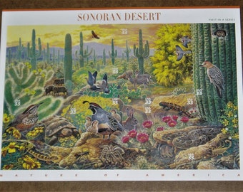 Hoja de sellos Mint 33c, Desierto de Sonora, Catálogo Scott #3293, 10 sellos