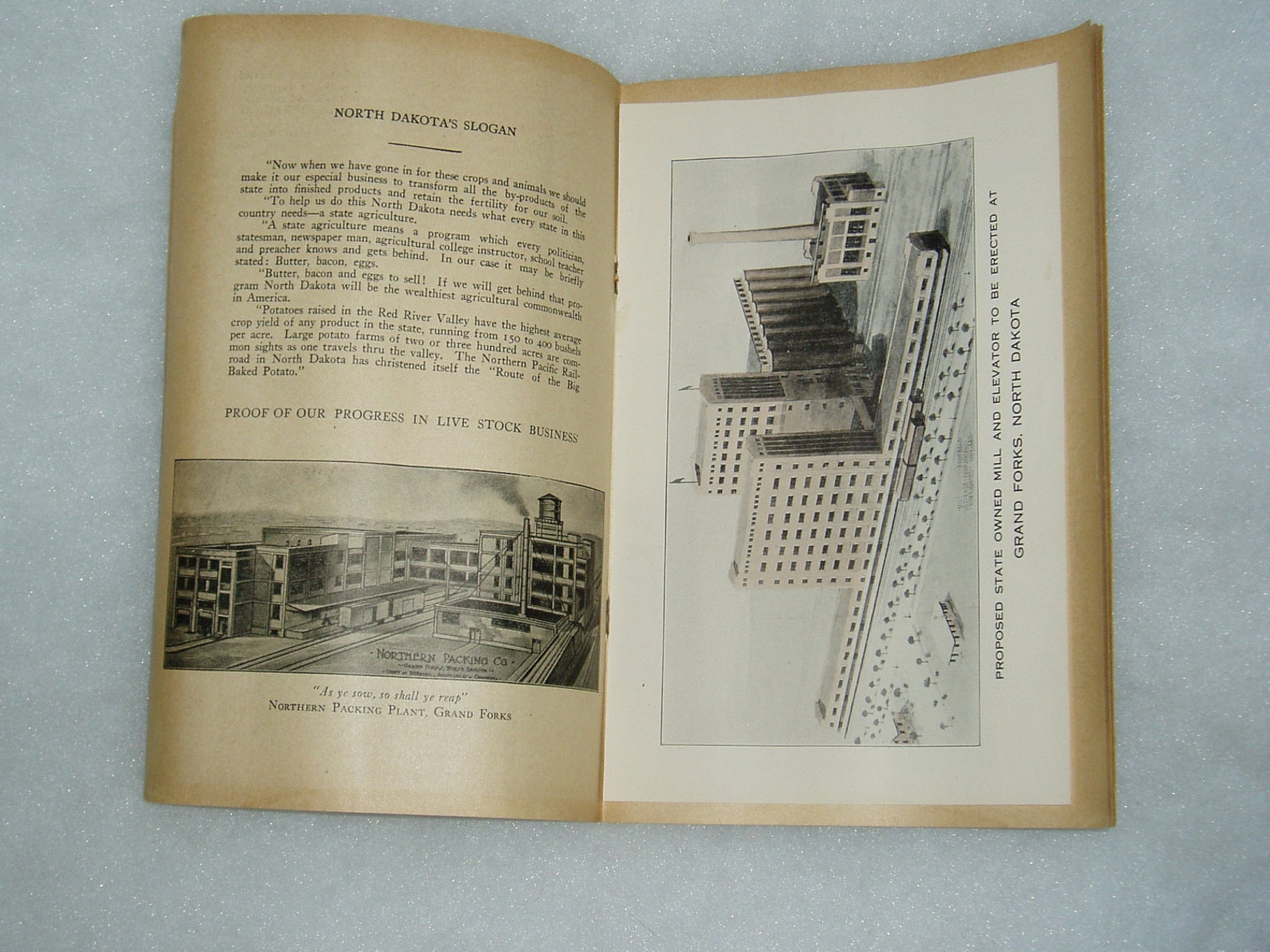 Red River Valley Farm Sale Advertising Brochure, C. 1920 Etsy