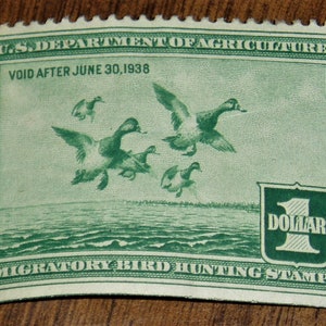 Federal Duck Stamp RW4, VF Centering