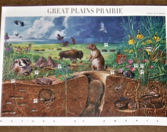 Great Plains Prairie Stamp Sheet, Scott #3506, Mint 34c