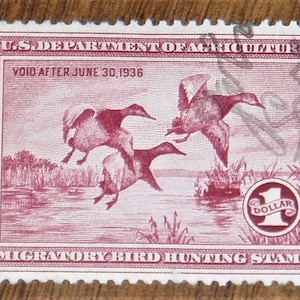 Federal Duck Stamp RW2 F/VF, Signed
