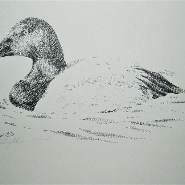 Canvasback Duck Print Etsy