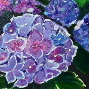 Hydrangeas in Bloom