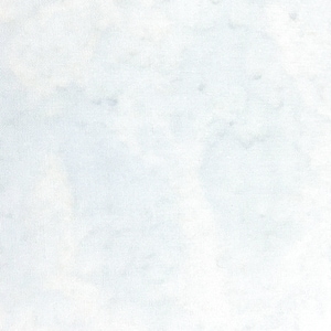 May include: A white canvas texture with a subtle, light blue tint. The canvas has a fine weave and a smooth surface.