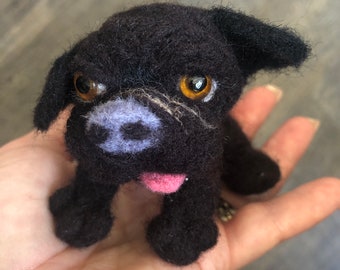 Ugly doggie. Felted animals. Custom animals felting.