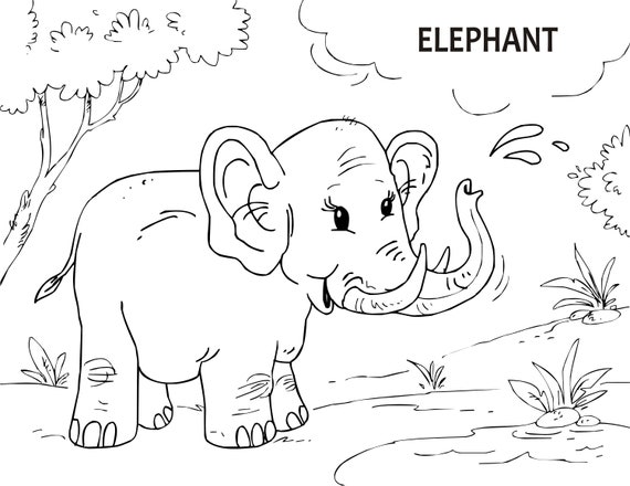 Download Coloring Book Pdf 80 Coloring Sheets Coloring Pages Etsy