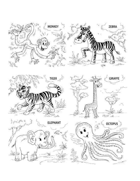 Download Animal Coloring Book Coloring Download Animal Coloring Etsy